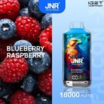 JNR FALCON -X BLUEBERRY RASPBERRY – 18000 PUFFS