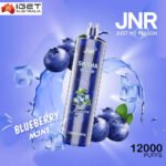 JNR SHISHA HOOKAH – BLUEBERRY POMEGRANATE – 12000 PUFFS