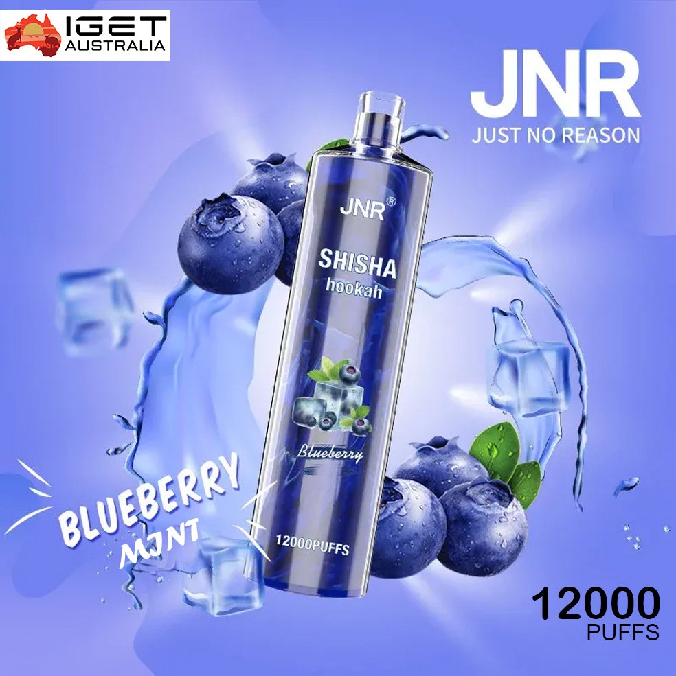 JNR-SHISHA-HOOKAH-BLUEBERRY-MINT-12000-PUFFS-3.jpg JNR SHISHA HOOKAH – BLUEBERRY MINT – 12000 PUFFS - Image 1