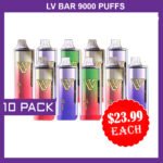 LV BAR – 9000 PUFFS – 10 PACK