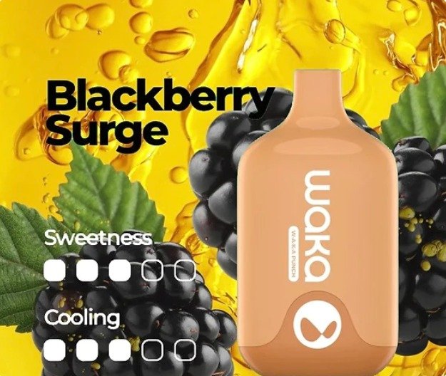 PHOTO-2023-10-23-14-39-02-4.jpg WAKA SMASH BLACKBERRY SURGE – 6000 PUFFS - Image 1