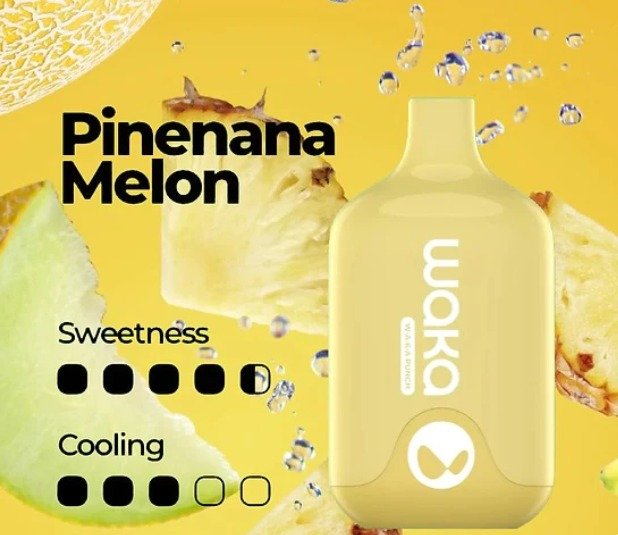 PHOTO-2023-10-23-14-39-03.jpg WAKA SMASH PINEAPPLE MELON – 6000 PUFFS - Image 1