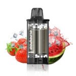 Strawberry Watermelon Ice – MOSS POD ONLY