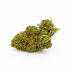 Flores CBD Mango Haze 15gr – Greeneo - Image 2