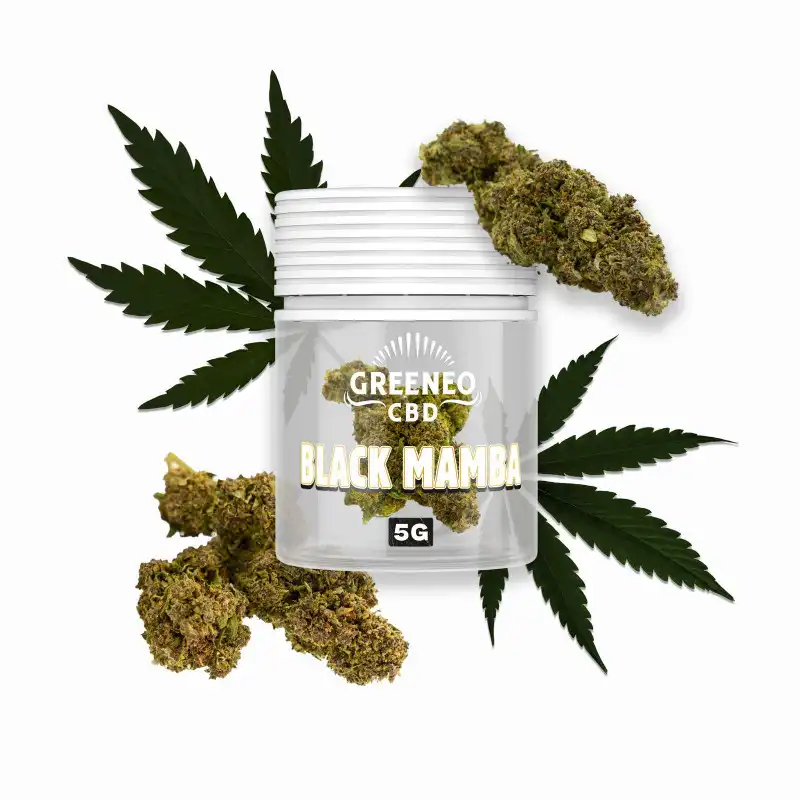 greeneo-black-mamba-flores-cbd-5gr.webp Flores CBD Black Mamba 5gr – Greeneo - Image 1