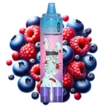 Blueberry Rasberry – RandM TORNADO & White Rabbit – 15000 puffs