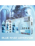 Blueberry Ice – RandM TORNADO & White Rabbit – 9000 puffs - Image 2