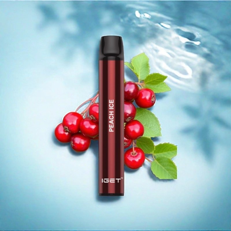 wwww-1.jpg IGET SHION CRANBERRY – 600 PUFFS - Image 1